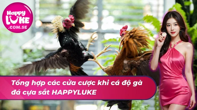 Các cửa cược xuất hiện trong cá độ đá gà cựa sắt